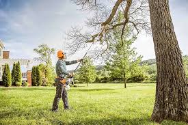Best Seasonal Cleanup (Spring/Fall)  in Macon, IL